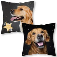 Pościel dla dzieci - Poszewka Na Poduszkę 40X40 Labrador Mf 009 - miniaturka - grafika 1