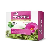 Witaminy i minerały - Suplement diety, Czystek, na układ odpornościowy 60 kapsułek - miniaturka - grafika 1