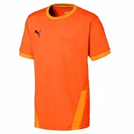 Koszulki dla chłopców - PUMA Puma TeamGOAL 23 Jersey chłopięcy T-shirt pomarańczowa Golden Poppy-flame Orange 116 704160 - miniaturka - grafika 1