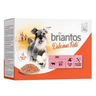 Mokra karma dla psów - Briantos Delicious Paté, 12 x 100 g - Wołowina - miniaturka - grafika 1