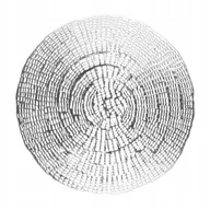 Obrusy i serwetki - Podkładka fi 38 Dekoracyjna Sheen Okrągła Srebrny - miniaturka - grafika 1