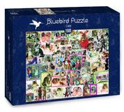 Puzzle - Puzzle 1500 Koty - miniaturka - grafika 1