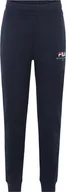 Spodnie sportowe męskie - Fila Spodnie męskie Fila Bovrup granatowe FAU0146 50004 S - miniaturka - grafika 1