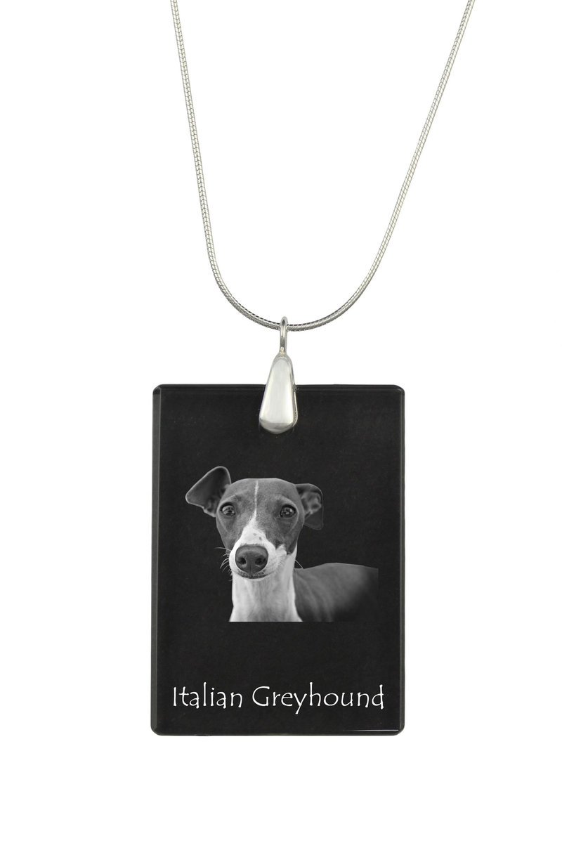 Charcik włoski, Italian Greyhound - kryształowa zawieszka z psem, srebrny naszyjnik ze zdjęciem, personalizowany wisiorek marki Art-Dog
