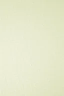 Dekoratorstwo - Papier Elfenbens 185g Tkanina Lniana ecru - 20A4 - miniaturka - grafika 1