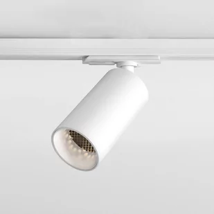 Astro Lighting Can 1396026 reflektor szynowy 8,2W/LED 3000K IP20 - Lampy pozostałe - miniaturka - grafika 1