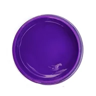 Zabawki kreatywne - Farba do tkanin ciemnych, kolorowych kryjąca PROFIL 150 ml  :: 300 fiolet - miniaturka - grafika 1