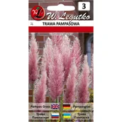 Nasiona i cebule - Trawa pampasowa różowa nasiona W. Legutko - miniaturka - grafika 1