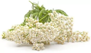 EQUIHERBS Krwawnik pospolity 0,5 kg - Akcesoria jeździeckie - miniaturka - grafika 1