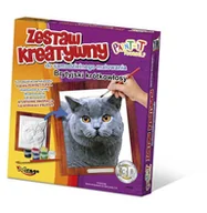 Zabawki kreatywne - Mirage Zestaw kreatywny Brytyjski krótkowłosy - miniaturka - grafika 1