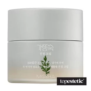 Missha Artemisia Calming Moisture Cream - 50 ml - Kremy do twarzy - miniaturka - grafika 1