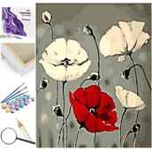Malowanie po numerach - Maki - miniaturka - grafika 1