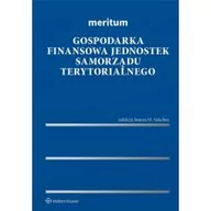 Finanse, księgowość, bankowość - Meritum. Gospodarka finansowa jednostek.. - miniaturka - grafika 1
