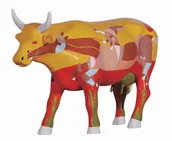 Figurki dekoracyjne - CowParade, figurka-krówka NO RUMO DA VENTE, duża/poliresing - miniaturka - grafika 1