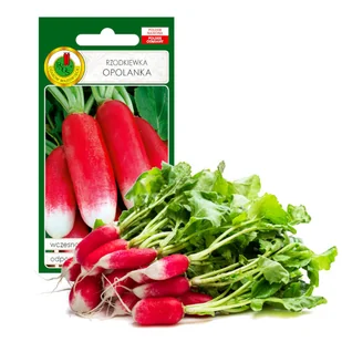 Rzodkiewka Opolanka Wczesna Podłużna Nasiona Bez Gmo - Nasiona i cebule - miniaturka - grafika 1