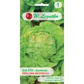 Nasiona i cebule - Legutko Sałata May King - Krółowa Majowych 1g - miniaturka - grafika 1