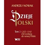 Biały Kruk Od rozbicia do nowej Polski. 1202-1340. Dzieje Polski - Andrzej Nowak