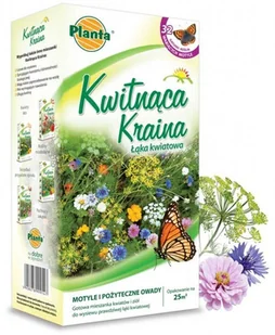 Łąka kwiatowa 0,2 kg - Motyle i owady pożyteczne Planta - Nasiona i cebule - miniaturka - grafika 1