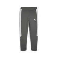 Spodnie sportowe męskie - Męskie spodnie dresowe EVOSTRIPE PUMA Mineral Gray - miniaturka - grafika 1