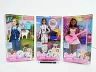 Lalki dla dziewczynek - Barbie Kariera Lalka z funkcj mix HRG41 MATTEL - miniaturka - grafika 1