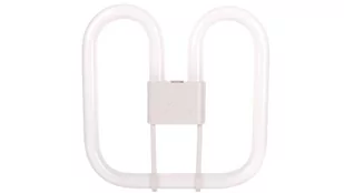 Philips PL-Q 38W/835/4P świetlówki kompaktowe 8711500271730 - Świetlówki - miniaturka - grafika 1