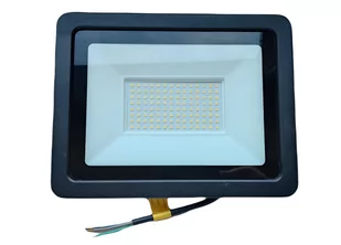 Naświetlacz LED 100W 4000K Eko-Light - Lampy ogrodowe - miniaturka - grafika 1