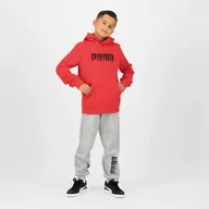 Odzież sportowa dziecięca - Bluza dziecięca Puma - miniaturka - grafika 1