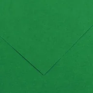 Dekoratorstwo - Hamelin Karton IRIS 70x100 240g 25ark 30 zielony HAMELIN - miniaturka - grafika 1