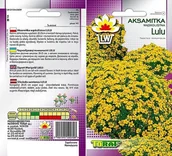 Nasiona i cebule - Nasiona Aksamitka Lulu Wąskolistna Toraf - miniaturka - grafika 1