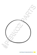 Części i akcesoria do maszyn rolniczych - NEW HOLLAND CASE ORING CASE CNH 84817130 84817130 - miniaturka - grafika 1