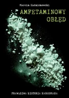 Audiobooki - kryminał, sensacja, thriller - Amfetaminowy obłęd. Prawdziwa historia narkomana - miniaturka - grafika 1