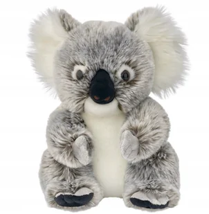 Maskotka Miś Koala Australijski Realistyczny - 25cm - Maskotki i pluszaki - miniaturka - grafika 1