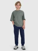 Spodnie i spodenki dla chłopców - 4F Spodnie dresowe joggery chłopięce - granatowe 122 (6-7 lat) - miniaturka - grafika 1