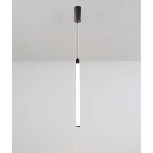 Maytoni Ray P022PL-L10B Lampa wisząca 1x10W/LED 3000K IP20 - Lampy sufitowe - miniaturka - grafika 1