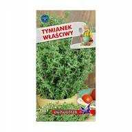 Nasiona i cebule - Tymianek właściwy 0,3g / O / - miniaturka - grafika 1