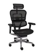 Fotele i krzesła biurowe - Fotel biurowy Ergohuman 2 Elite Pro BS Black - miniaturka - grafika 1