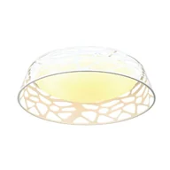 Lampy sufitowe - Orlicki Design Plafon FORINA BIANCO PL - miniaturka - grafika 1