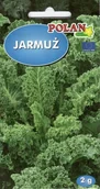 Nasiona i cebule - Jarmuż Halbhoher Gruner Krauser 2 g POLAN - miniaturka - grafika 1