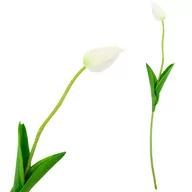 Sztuczne kwiaty - Tulipan Sztuczny Gumowany Biały Piękny Jak Żywy - miniaturka - grafika 1