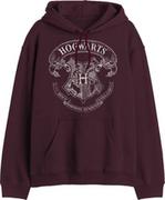 Bluzy męskie - HARRY POTTER Bluza męska, Bordowy, XXL - miniaturka - grafika 1