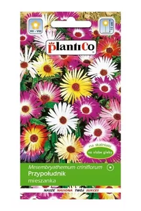 Przypołudnik Mix 0,05g PlantiCo - Nasiona i cebule - miniaturka - grafika 1