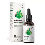 Suplementy naturalne - AURA HERBALS Pokrzywa zwyczajna, ekstrakt z liści 10:1 1000mg, krople (50ml) POK50ML - miniaturka - grafika 1