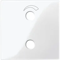 Gniazdka elektryczne - Merten Płytka Centralna do Modułu Odbiornika Radiowego 451919 - miniaturka - grafika 1