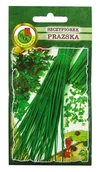 Nasiona i cebule - Roślina wieloletnia, dobrze zimująca bez przykrywania. Szczypiorek sieje się bezpośrednio do gruntu - wysiew w kwietniu - miniaturka - grafika 1