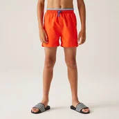 Kąpielówki dla chłopców - Regatta Dziecięce szorty kąpielowe Skander III Pomarańczowy, Rozmiar: 164 cm - miniaturka - grafika 1