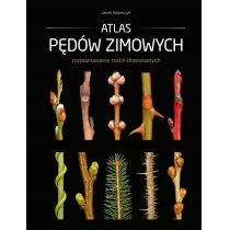 Atlas pędów zimowych - Jacek Adamczyk - Dom i ogród - miniaturka - grafika 1