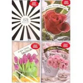 Kartki okolicznościowe i zaproszenia - Ateneum Karnet A5 grająco-świecący Imieninowy MIX AVANTII - miniaturka - grafika 1