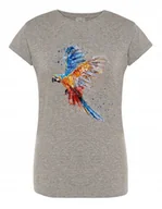 Koszulki i topy damskie - T-Shirt damski nadruk Kolorowa PAPUGA r. S - miniaturka - grafika 1
