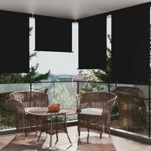 vidaXL vidaXL Markiza boczna na balkon, 117 x 250 cm, czarna - Markizy - miniaturka - grafika 1