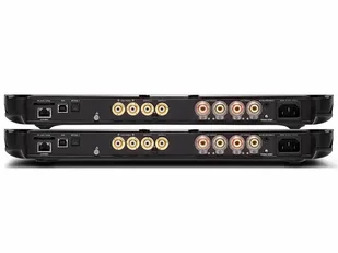 Devialet Expert 210 Pro Dual (Matte Graphite) - Wzmacniacze - miniaturka - grafika 3